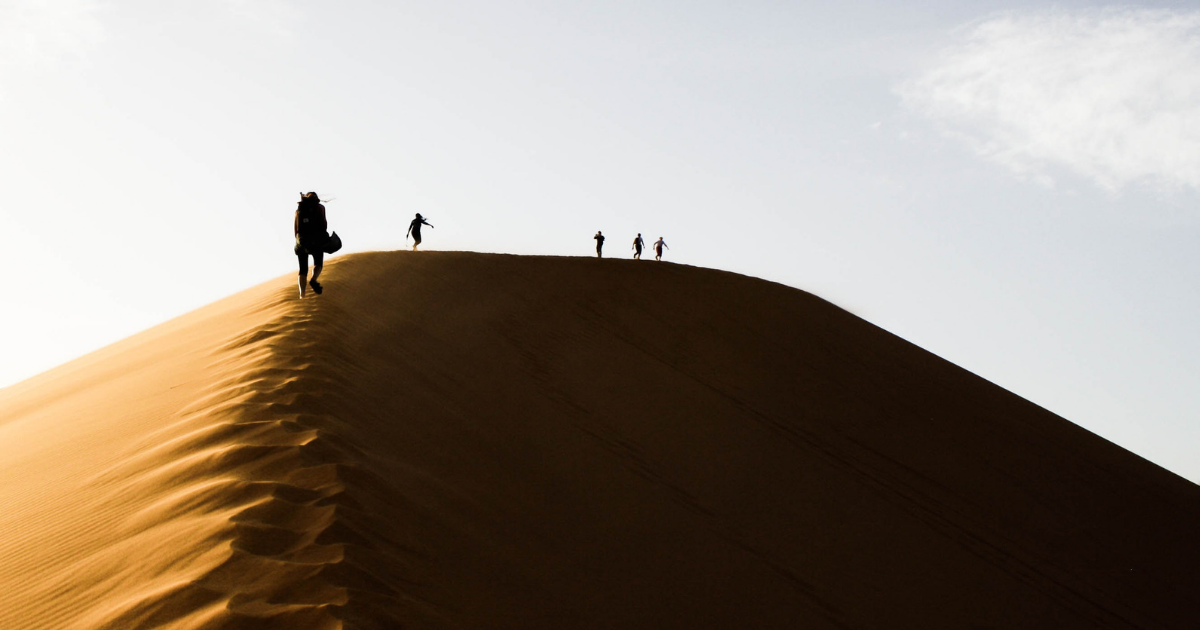 People trekking in The Sahara Desert