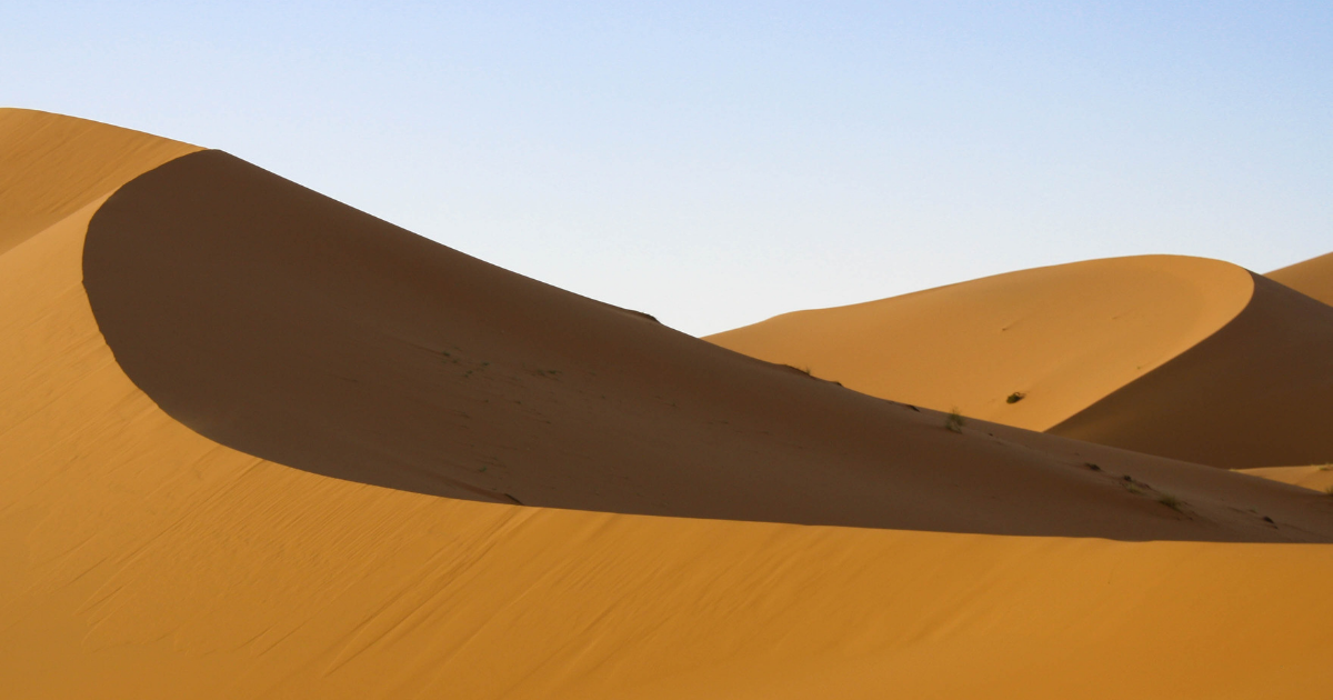 The dunes of the Sahara Desert