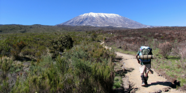 Primal Training Club Join Us To Conquer Kilimanjaro!