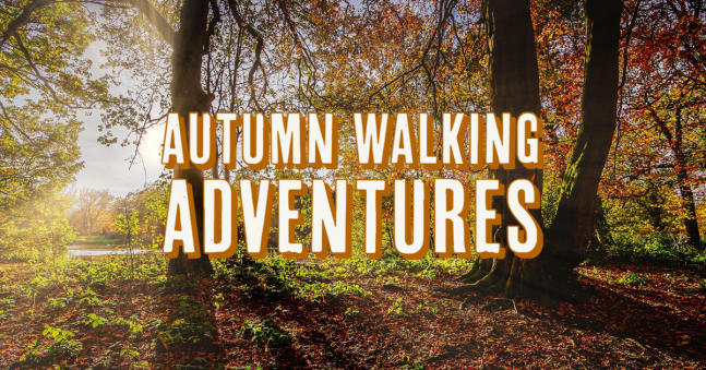 Our Top UK Walking Adventures for Autumn